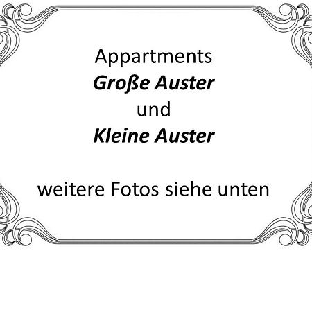 Auster-Appartements Saarbrücken Exteriör bild