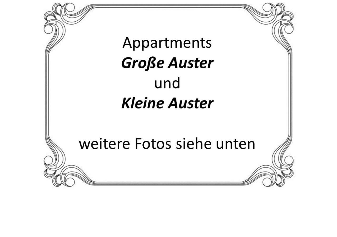 Auster-Appartements Saarbrücken Exteriör bild